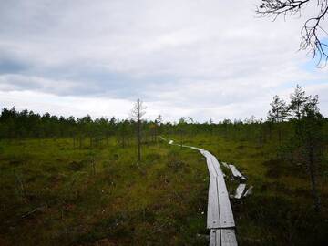 Фото номера Коттедж с 1 спальней и сауной Дома для отпуска Koivuniemi Cottage г. Сякюля 30