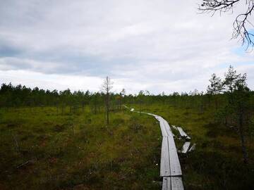 Фото номера Коттедж с 1 спальней и сауной Дома для отпуска Koivuniemi Cottage г. Сякюля 62