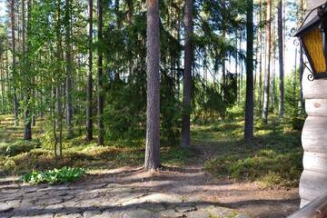 Фото номера Коттедж с сауной Дома для отпуска Forest Cottage г. Сякюля 16